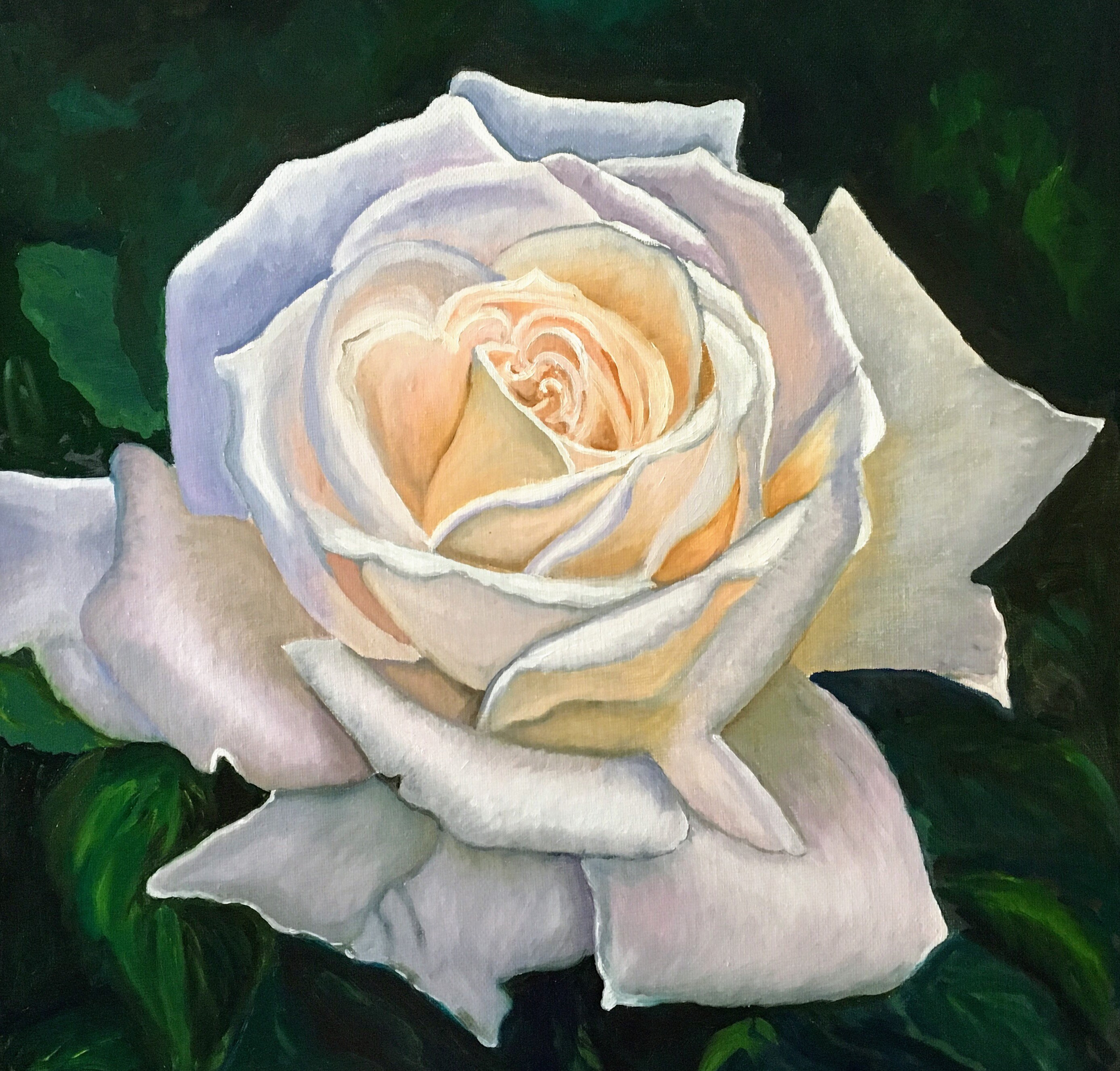 White Rose Painting Original Oil Painting On Stretched Canvas Etsy