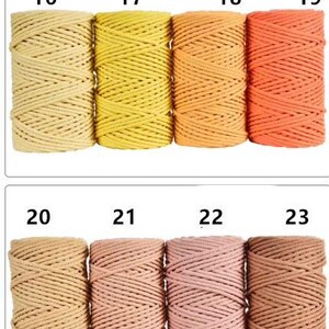 May include: A collection of 38 spools of colorful macrame cord in various shades. The colors range from light pinks and greens to blues, purples, and browns. Each spool is neatly wound, showcasing the cord's texture and color variations.