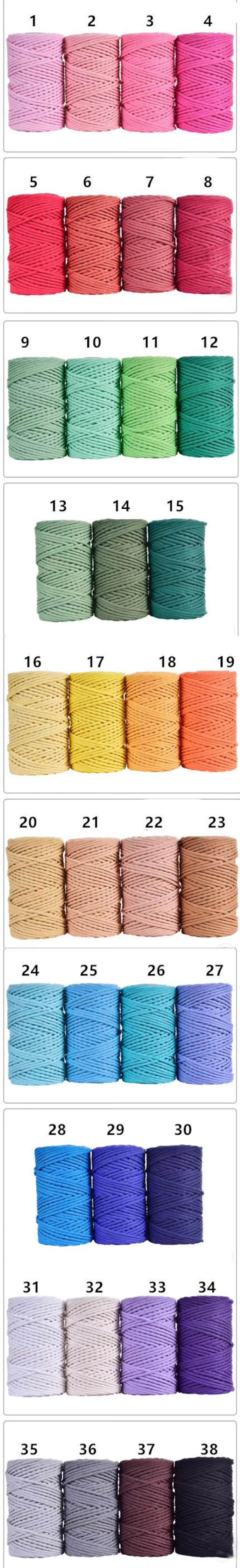 May include: A collection of 38 spools of colorful macrame cord in various shades. The colors range from light pinks and greens to blues, purples, and browns. Each spool is neatly wound, showcasing the cord's texture and color variations.
