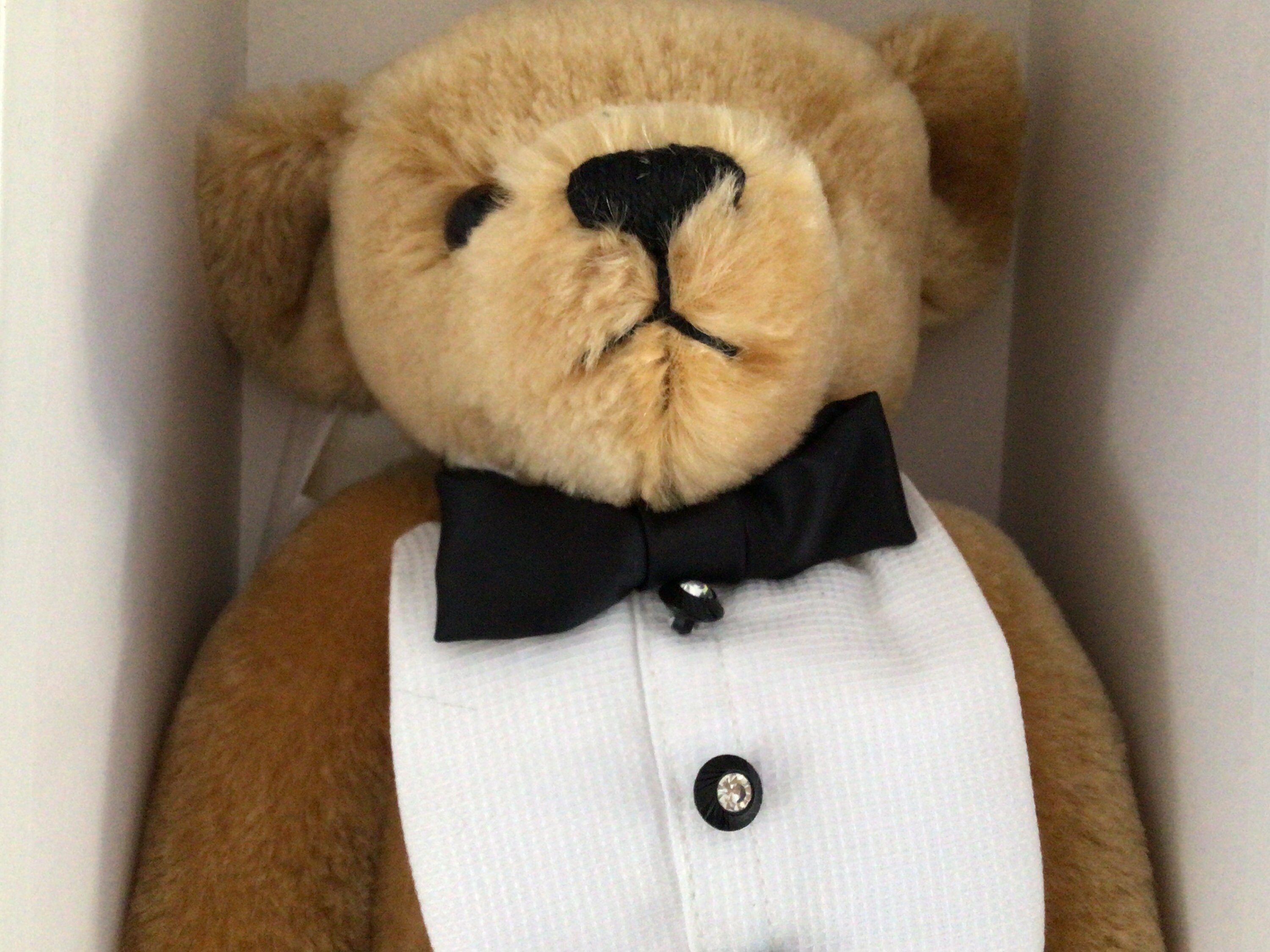 David emanuel cheap teddy bear