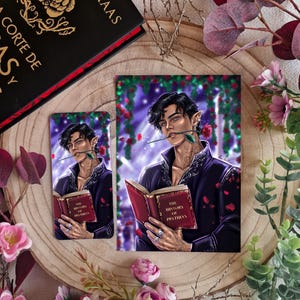 Pode incluir: Ilustração de um personagem de cabelo escuro com orelhas pontudas, segurando uma rosa vermelha na boca e lendo um livro intitulado "The History of Prythian". A imagem é definida em um fundo de pétalas de rosa vermelhas e vegetação. Um livro com o título "A Corte de Rosas e Espinhos" também é visível.