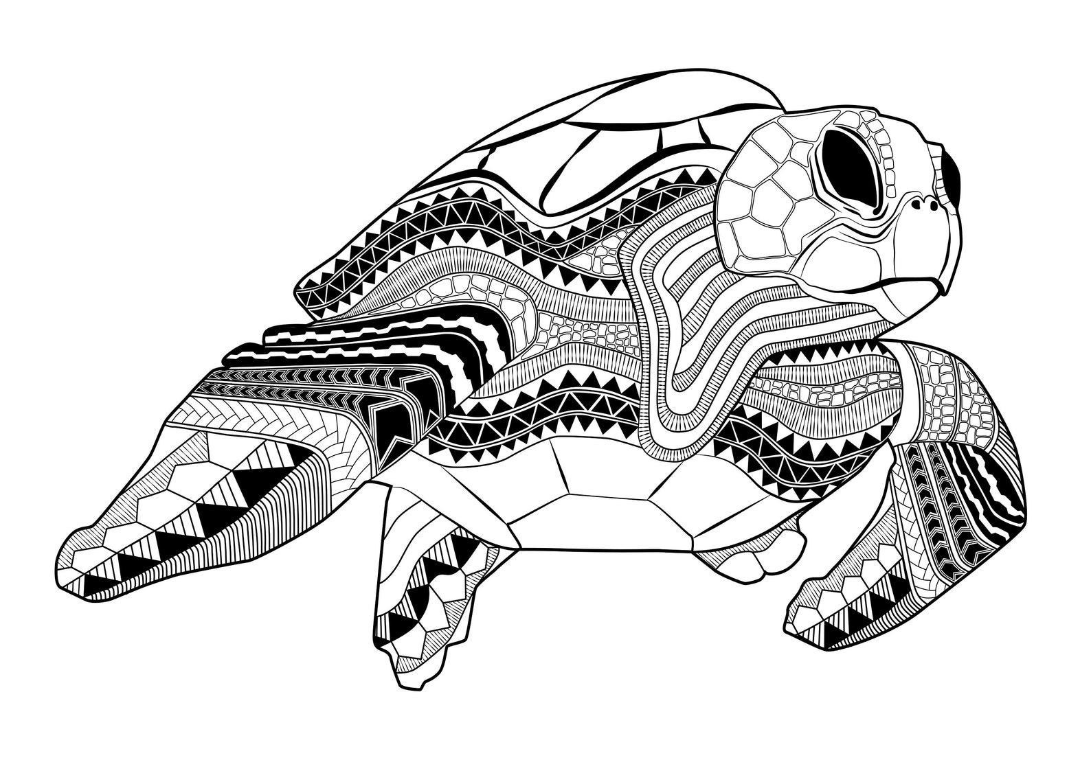 Sea Turtle Black and White Print, Pacific Islander Art, Cultural Art ...