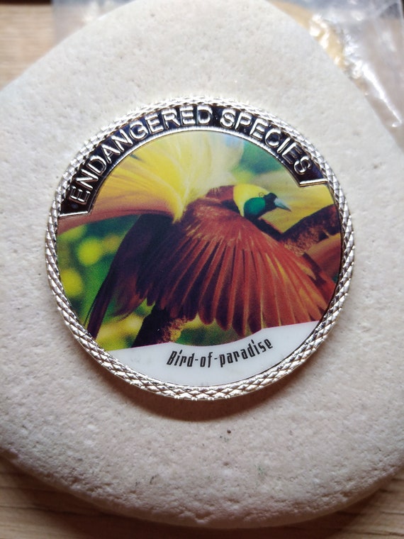 100 dollars dollar World animal protection coin coins colored | Etsy