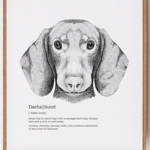 Dachshund Art, Definition Print, Dogs Wall Decor, Veterinarian Gift image 1