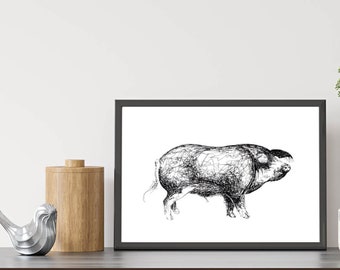 Pig art print, ink drawing, animal wall art