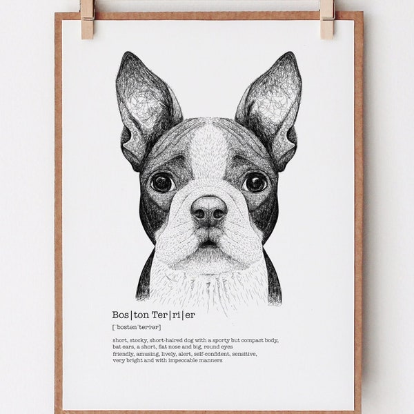 Boston Terrier Definitionsposter Englisch, Hundeportrait Zeichnung, Geschenk für Hundebesitzer