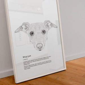 Imagen de definición de Whippet, cartel de Sighthound, dibujo de retrato de perro, impresión de arte A4, regalo para dueños de perros
