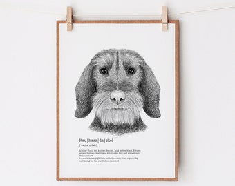 Wire Haired Dachshund Art, Definition Print, Dogs Wall Decor