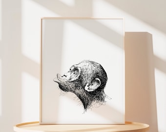 Kissing baby chimpanzee art print