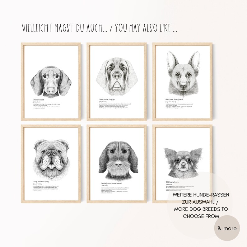 Dachshund Art, Definition Print, Dogs Wall Decor, Veterinarian Gift image 9