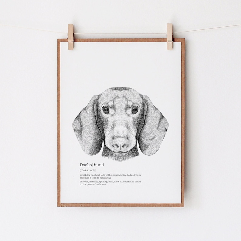 Dachshund Art, Definition Print, Dogs Wall Decor, Veterinarian Gift image 1