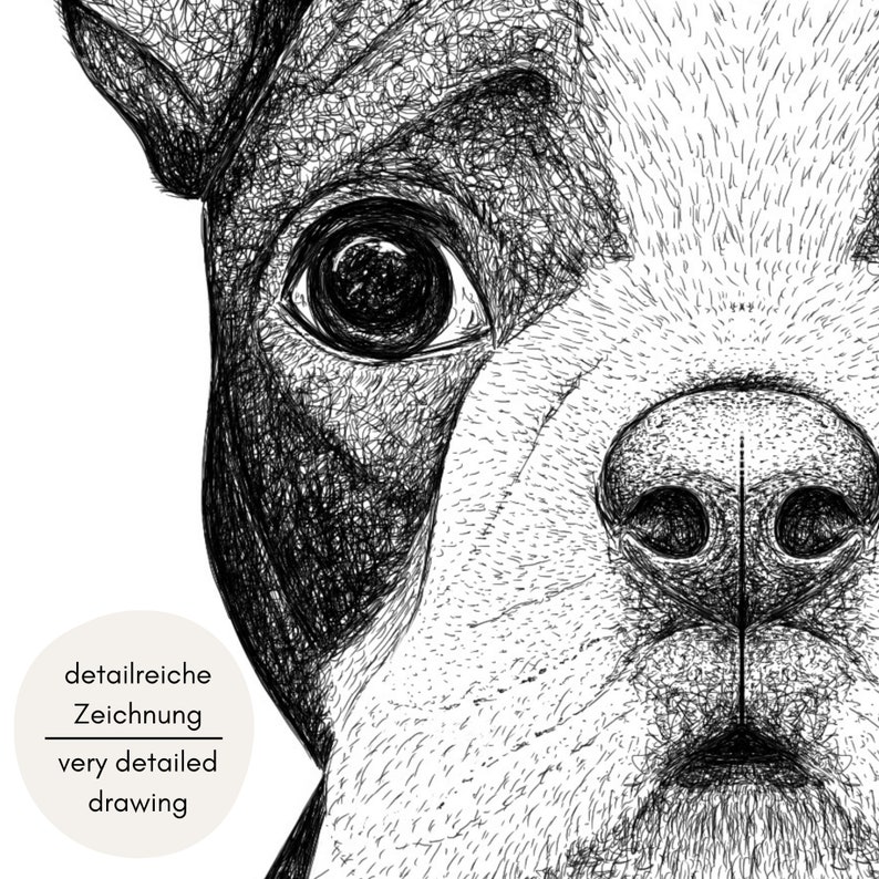 Hunde Portrait personalisiert, Zeichnung nach Foto, Geschenk für Hundebesitzer Bild 3