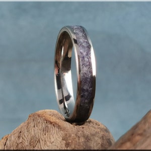 Titanium Channel Ring w/Iolite Stone inlay