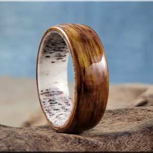 Bentwood Ring - Quartersawn English Brown Oak on deer antler ring core - wood ring