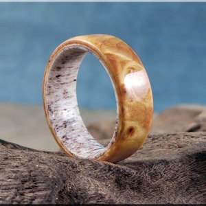 Bentwood Ring - Douglas Fir Burl on deer antler ring core - wood ring