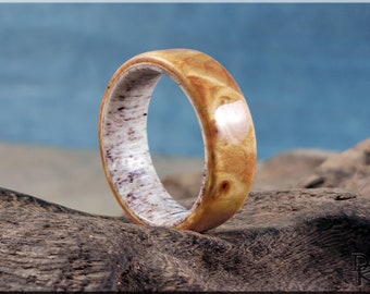 Bentwood Ring - Douglas Fir Burl on deer antler ring core - wood ring