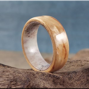 Bentwood Ring - Karelian Birch on deer antler ring core - wood ring