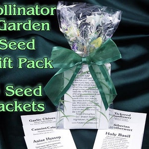 May include: A green gift pack labeled "Pollinator Garden Seed Gift Pack" with six seed packets for garlic chives, catmint, anise hyssop, tickseed sunflower, Siberian motherwort, and holy basil.