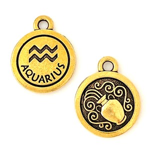 22kt Gold Plated Zodiac Aquarius Charm. (1 piece) TierraCast® Lead Free Pewter, Made in USA