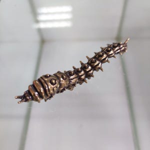 Messing Raupe Figur - Realistische Miniatur Bug Skulptur für Natur Dekor, Schreibtisch Akzent, Geschenk Insektensammler