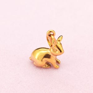 Rabbit Charm Pendant in 18K Gold Filled Color Stainless Steel for DIY Jewelry Making image 7