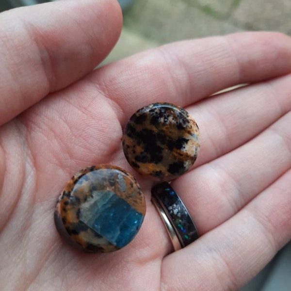 RARE Real opalized wood petrified double flared plug - All sizes available - Very high quality