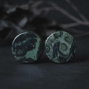 May include: Two round, dark green stone plugs with unique patterns. The plugs have a polished surface and a mix of dark green and black swirls and spots. The background is dark, emphasizing the plugs' colors and textures.