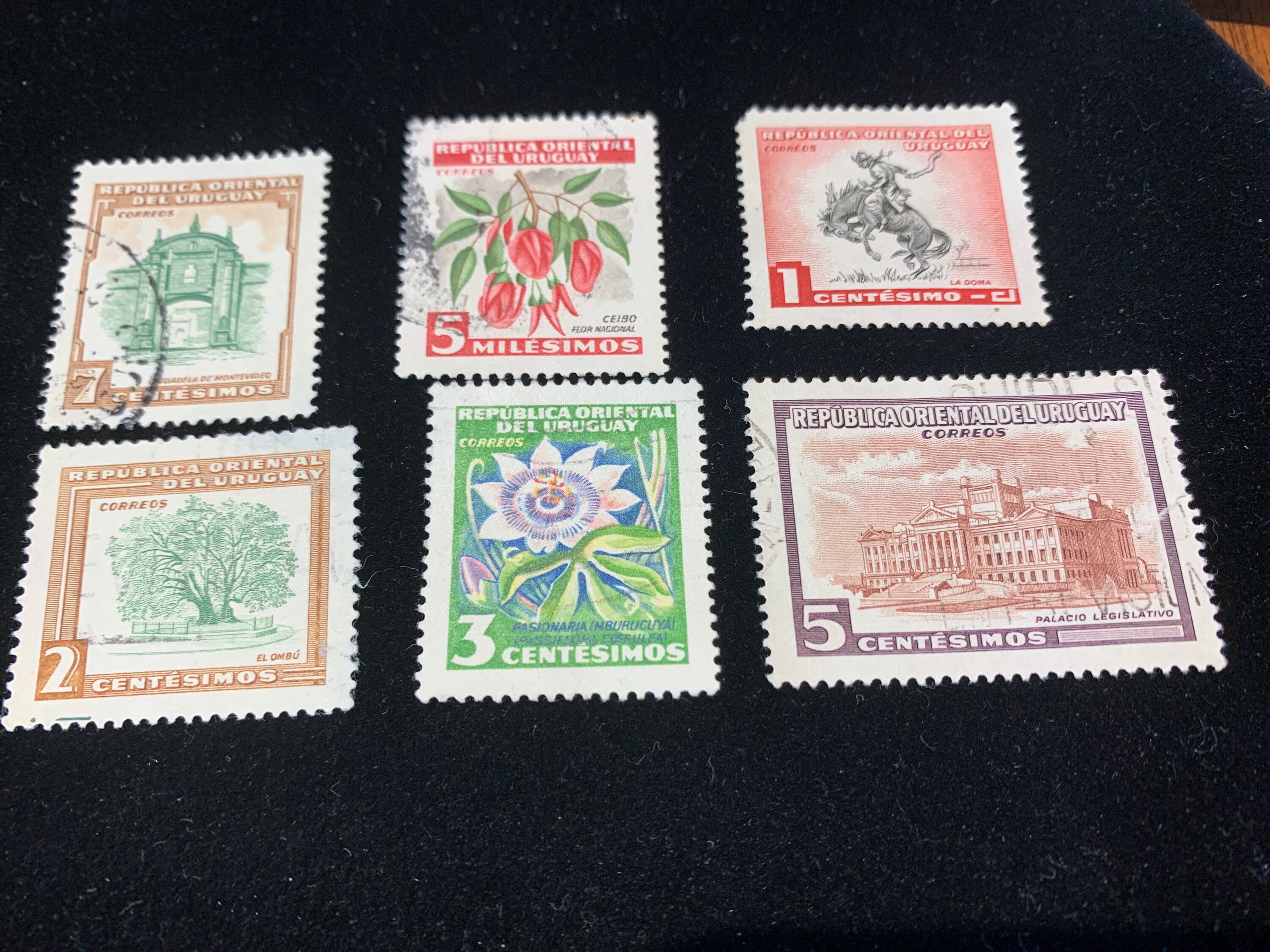 Postage Stamps from Uruguay set of 6 from 1954 Etsy
