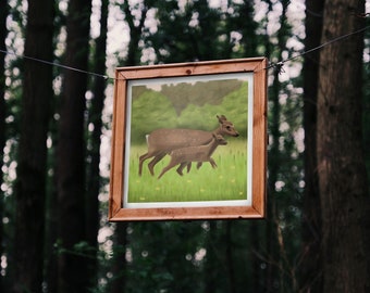 Deer print | Nature in Ireland | Irish forest | Square