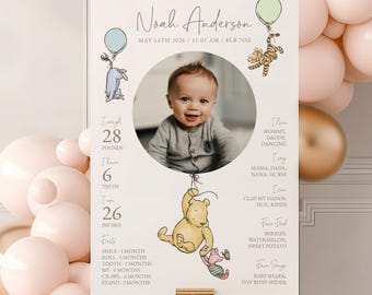 Winnie the Pooh First Birthday Milestone Sign 1st Birthday Milestone Poster One Year Photo Baby Milestone Board #k01