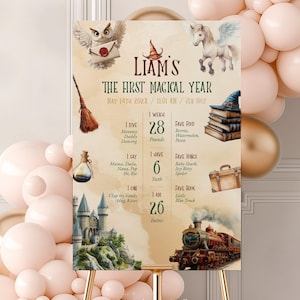 The Chosen One First Birthday Milestone Sign Wizard 1st Birthday Milestone Poster One Year Photo Baby Milestone Board #k16
