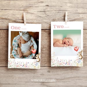 Bannière photo premier anniversaire lapin fleurs sauvages bannière photo 1er anniversaire Cartes photos non sexistes Cartes photos bébé jalon #k17