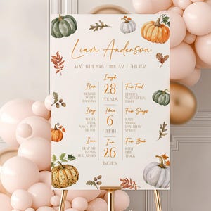 Herbst Kürbis 1. Geburtstag Meilenstein Zeichen Kürbis 1. Geburtstag Meilenstein Poster Ein Jahr Foto Baby Meilensteintafel #k07