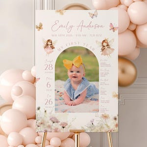 Fairly First Birthday Milestone Sign Princess Fairly 1st Birthday Milestone Poster One Year Photo Baby Milestone Board #k08