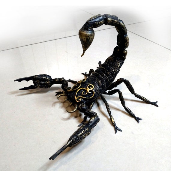Mann nicht skorpion antwortet