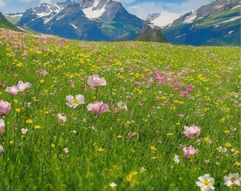 Mountain Serenade: Spring Meadow Blooming with Small Roses downloadable file is png