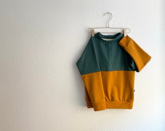 Color block sweater in bistro green and dusan brown