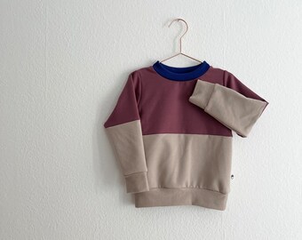cooler zweifarbiger Colorblocksweater in den Farben Nocturne Lila und Chateau Gray und knallblauem Halsbündchen
