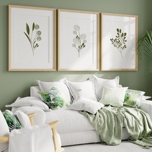 May include: A white sofa with green throw cushions and a green throw blanket. There are three framed prints of green botanical illustrations on the wall behind the sofa. A green potted plant is in the corner of the room.