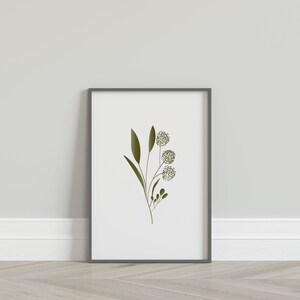 May include: A framed print of a minimalist botanical illustration featuring a green stem with leaves and three small, round, green flower buds.