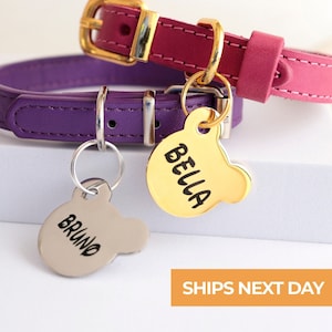 Mickey mouse dog tag petsmart online