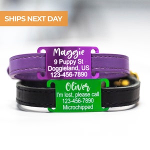 May include: Two personalized pet ID tags on leather collars. The top tag is purple with the name "Maggie", address, and phone number. The bottom tag is green with the name "Oliver", the message "I'm lost, please call", phone number, and the word "Microchipped".