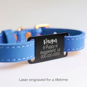 May include: Black metal dog tag with engraved text: Reign, 9 Puppy st, doggie land, us, 000-000-0000. The tag is attached to a blue leather dog collar.