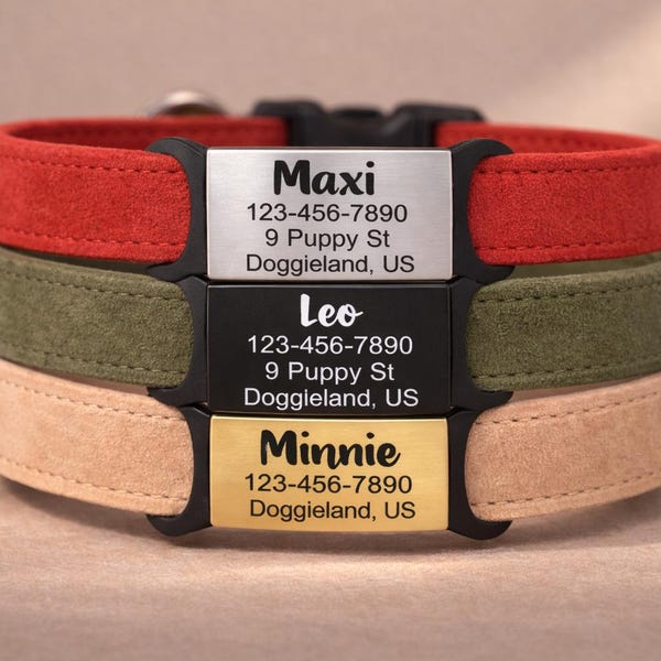 Custom Engraved Silent Slide On Pet Tag ID, Personalized No Jingle Dog & Cat Tags