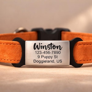 Custom Engraved Slide On Pet ID Tags, Personalized Dog & Cat ID Collar Tags