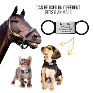 May include: A silver pet ID tag with black rings, engraved with the text "REIGN", "9 Puppy st", "Doggieland, US", and "123-456-7890". The tag is shown attached to a horse's halter, a dog's collar, and a cat's collar.