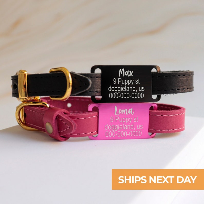 Personalized Slide on Pet ID Tag Dog Collars Custom Engraved Etsy