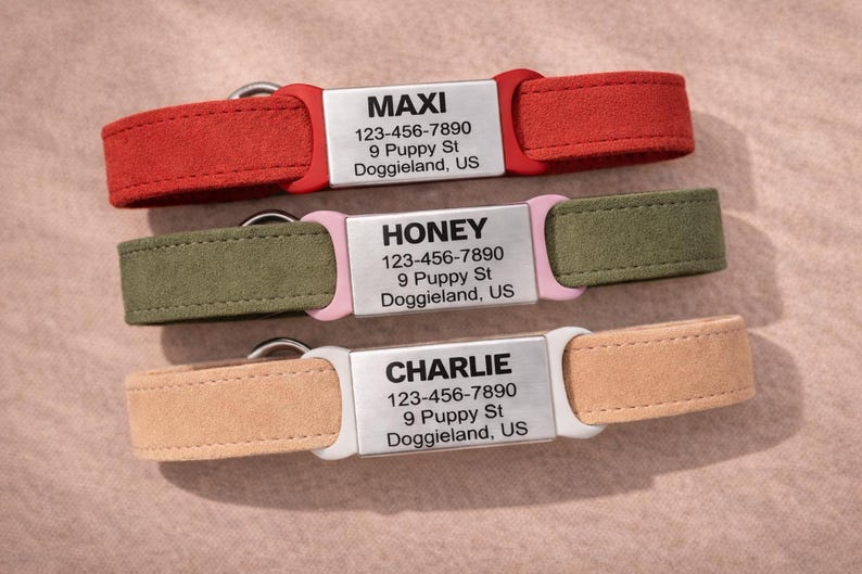 Slide On Dog Tag ID, Silent Dog Tag, No Jingle Cat Tag ID, Custom Engraved Steel Pet ID Tags, Personalized Tag Pet Collars, Dog Name Tag image 1