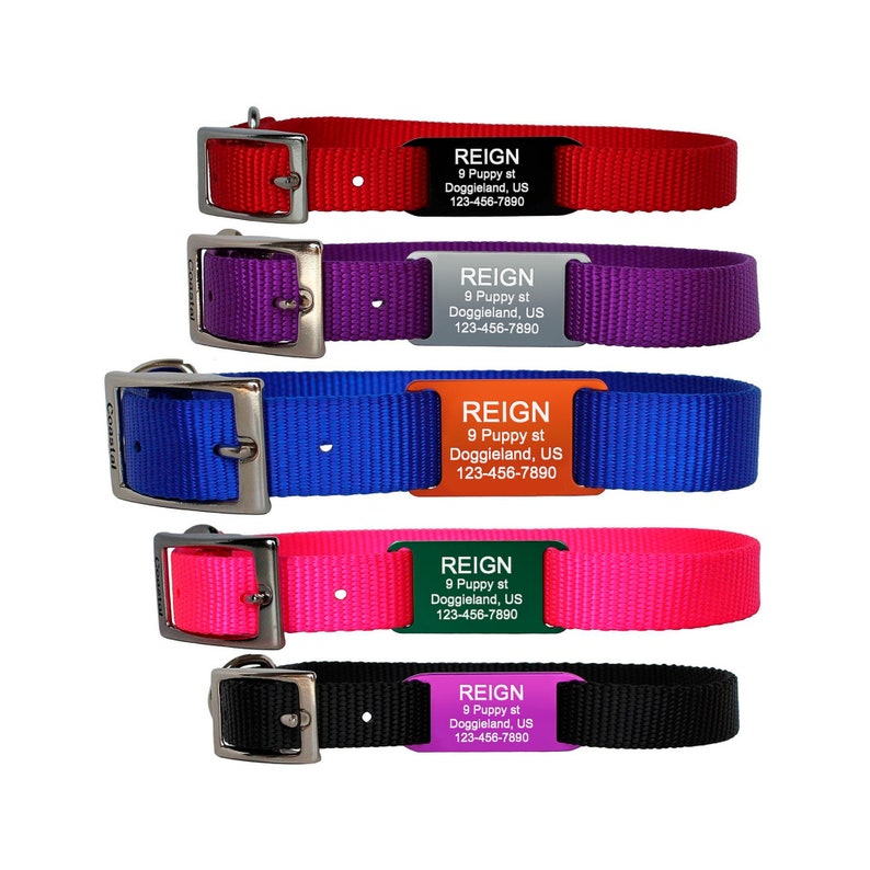 May include: Five different dog collars with metal ID tags. The collars are red, purple, blue, pink, and black. The ID tags are black, silver, orange, green, and purple. Each tag reads "REIGN 9 Puppy st Doggieland, US 123-456-7890".