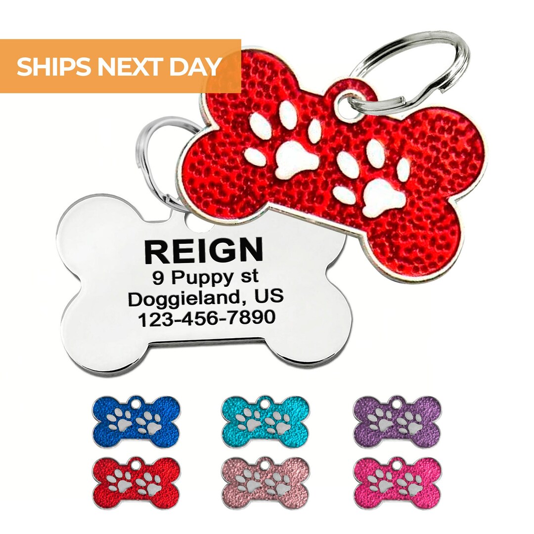 Gatto E Cane Seduti Insieme Isolati Su Sfondo Trasparente Concetto Di Animale Domestico | PSD - Foto 13